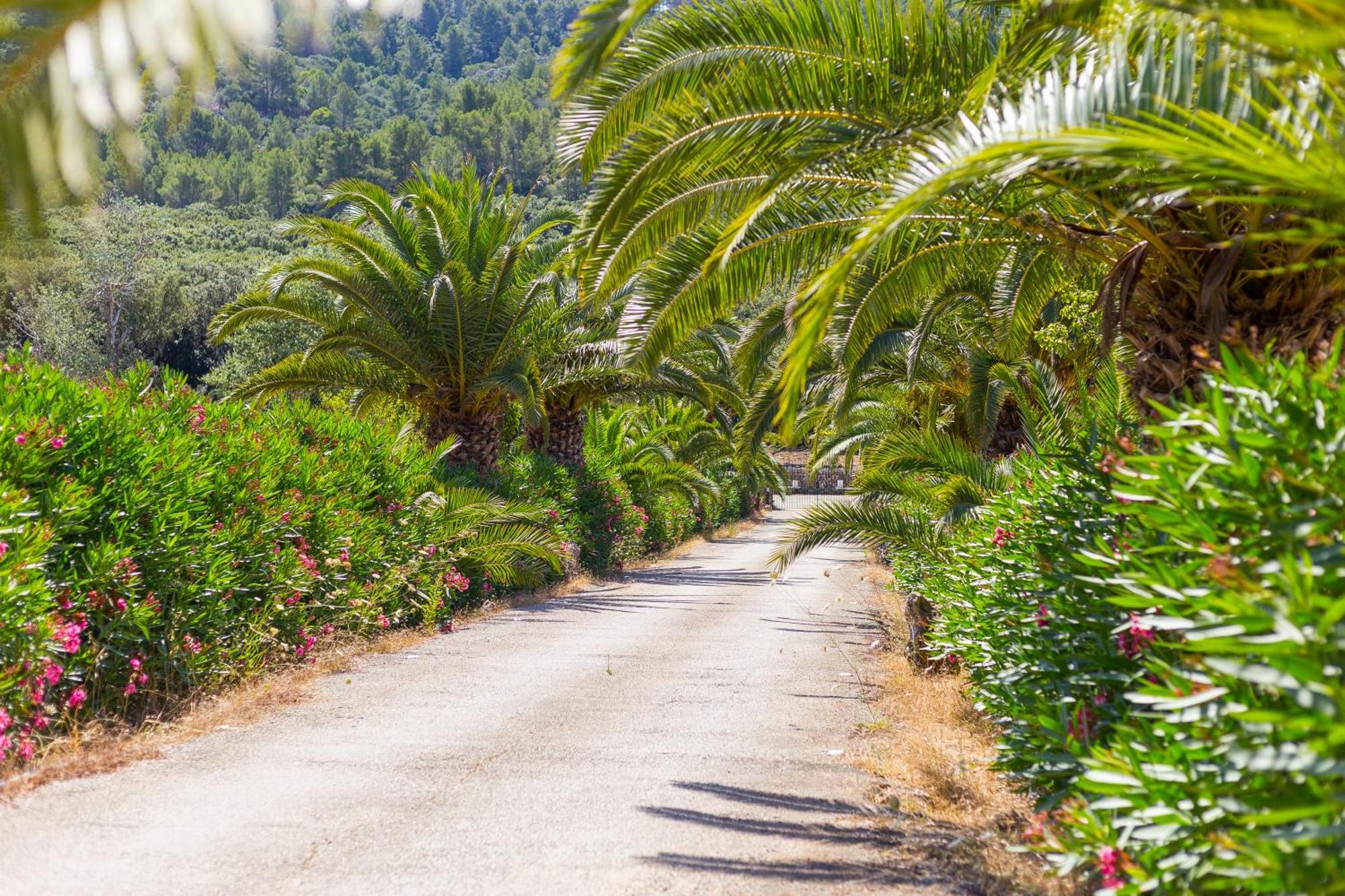 Fangar Agroturismo Кампанет Екстериор снимка